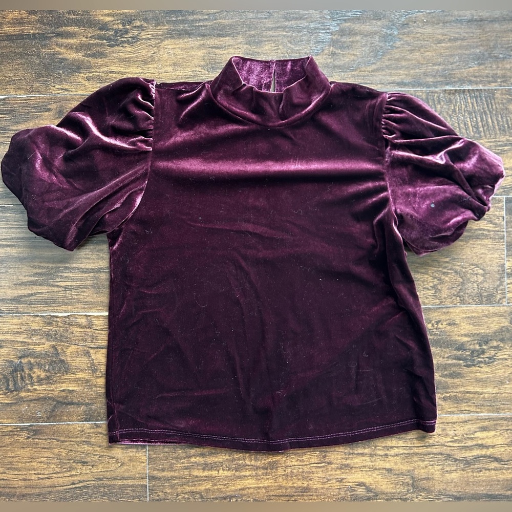 Burgundy Velvet Puff Sleeve Top